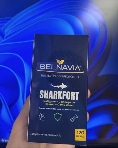 Miguel Ángel Domínguez