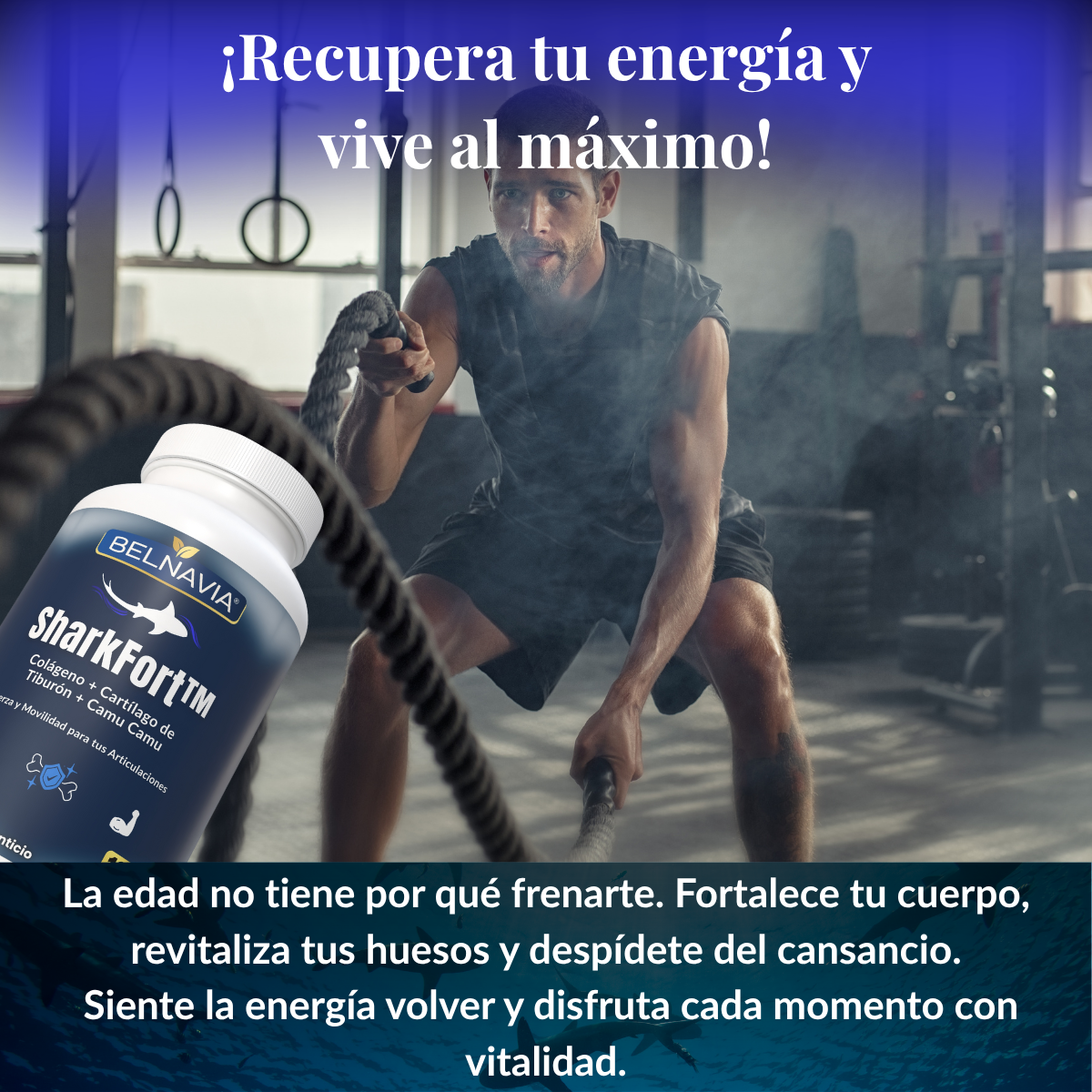SharkFort™ Fuerza y flexibilidad para tus articulaciones