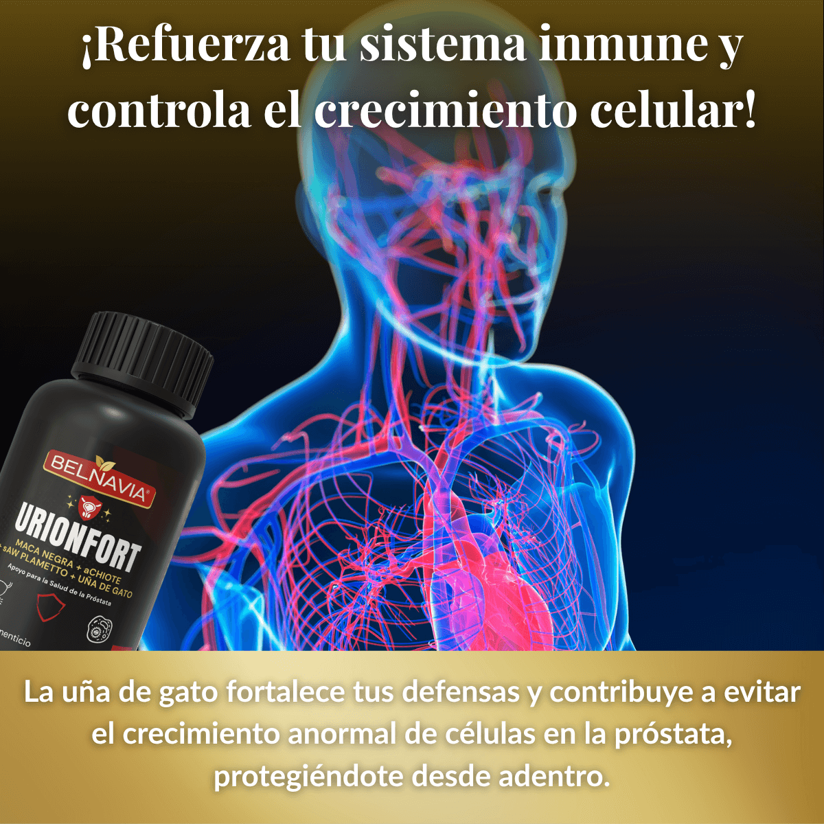 UrionFort™ Apoyo para la Salud de la Próstata