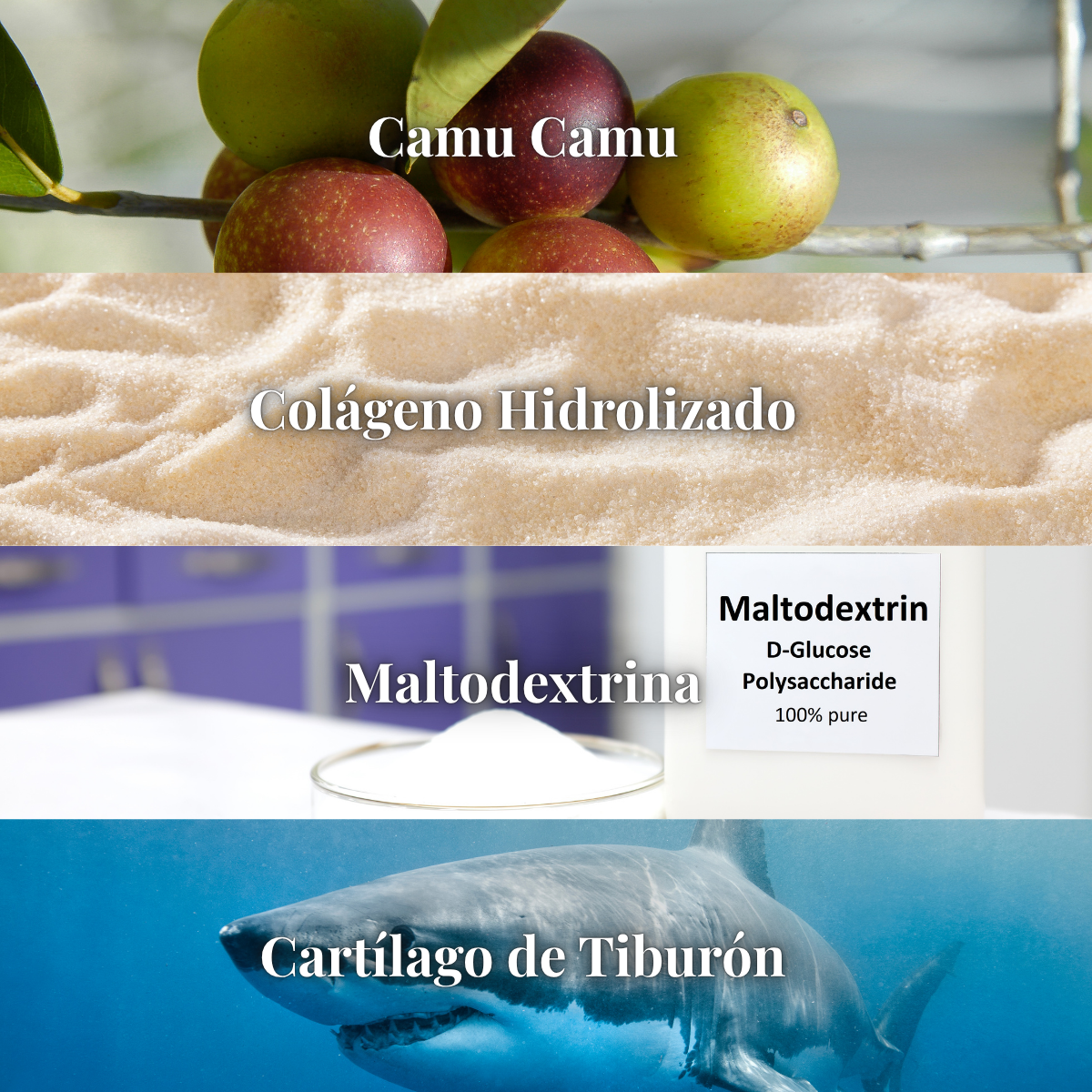 SharkFort™ Fuerza y flexibilidad para tus articulaciones